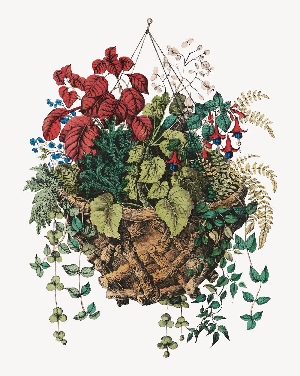 Rustic basket, vintage botanical illustration by Currier & Ives. Remixed by rawpixel.