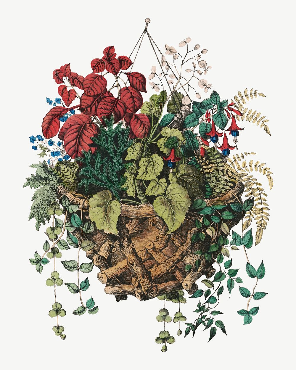 Rustic basket, vintage botanical illustration by Currier & Ives psd. Remixed by rawpixel.