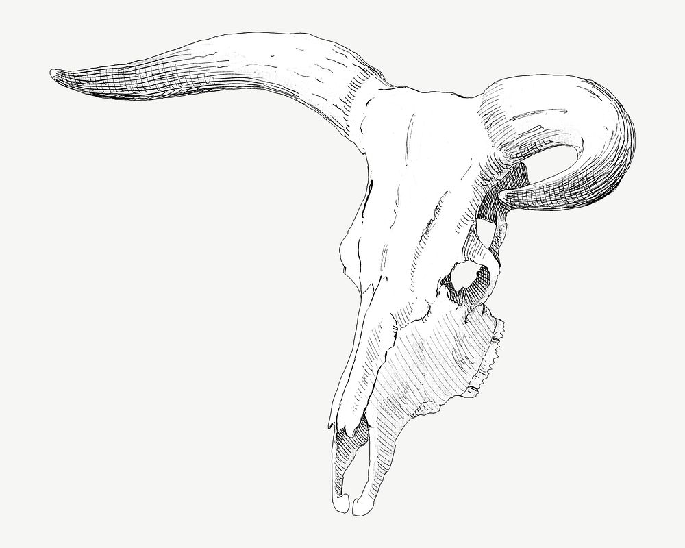 Cow skull, vintage illustration by P. C. Skovgaard psd. Remixed by rawpixel.