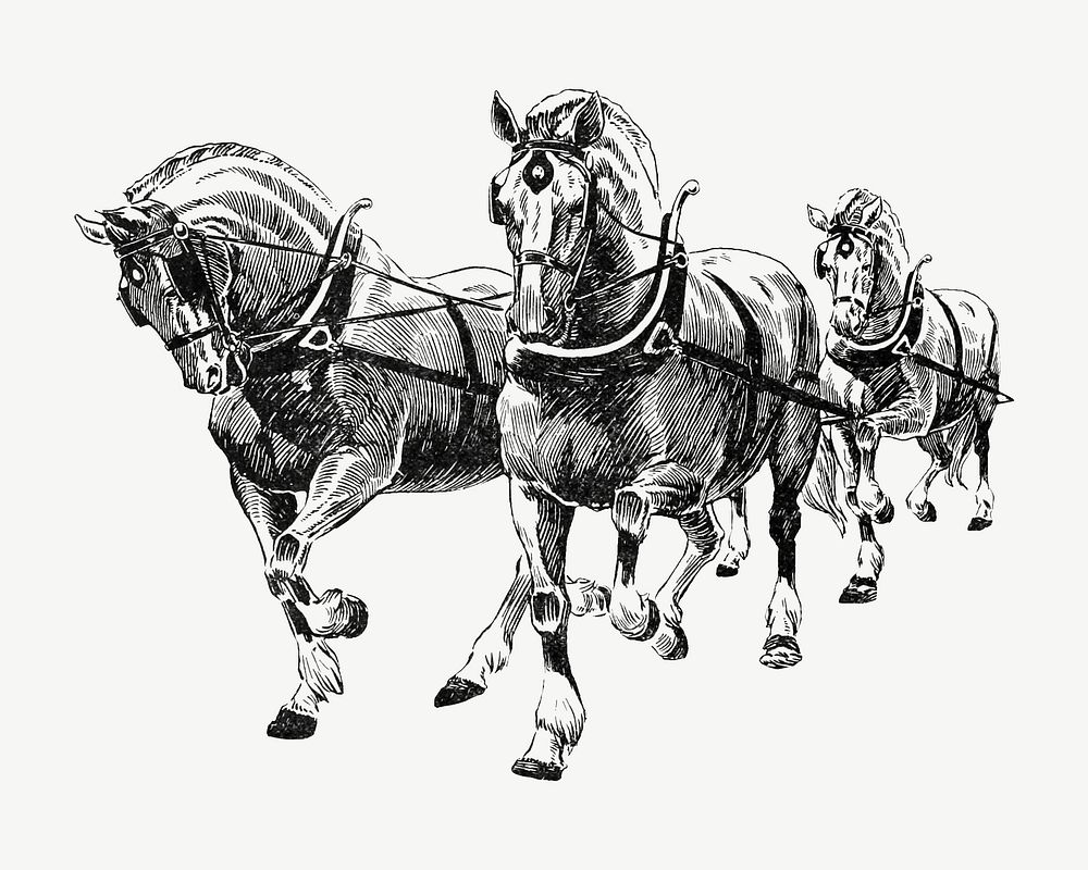 Horses vintage illustration psd. Remixed by rawpixel. 