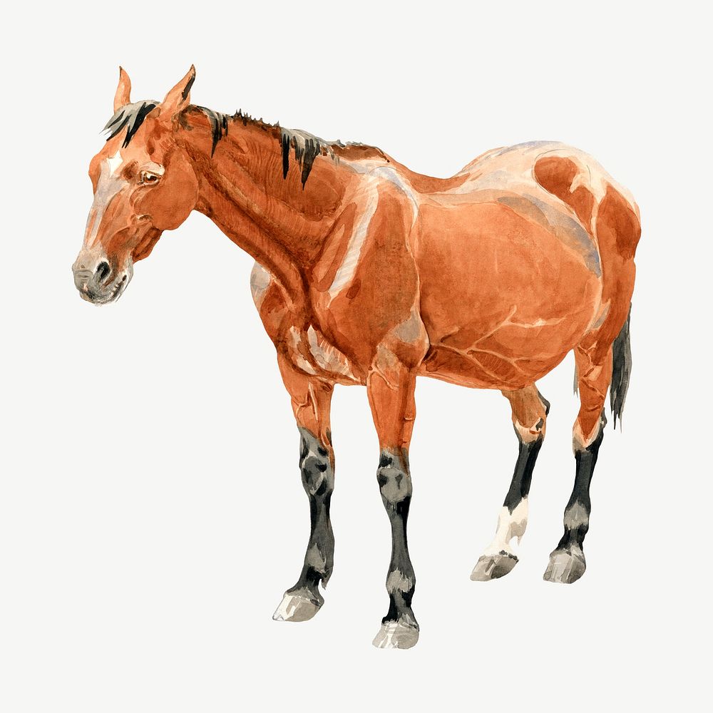 Brown horse, animal illustration psd. Remixed by rawpixel.