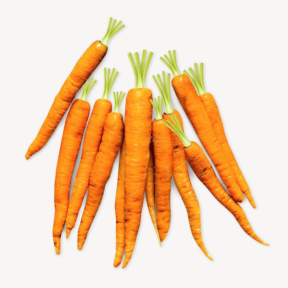 Carrot isolated image on white