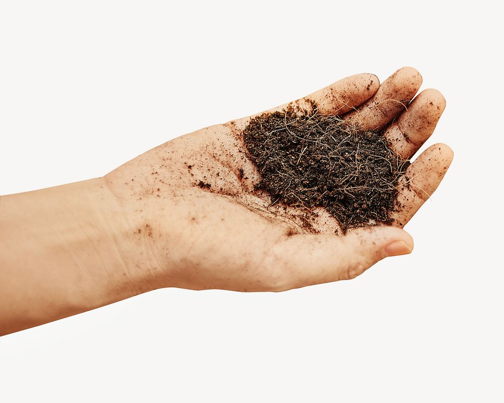 Woman holding soil in her hand isolated image
