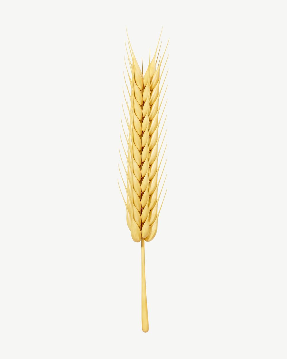 3D wheat branch, collage element psd