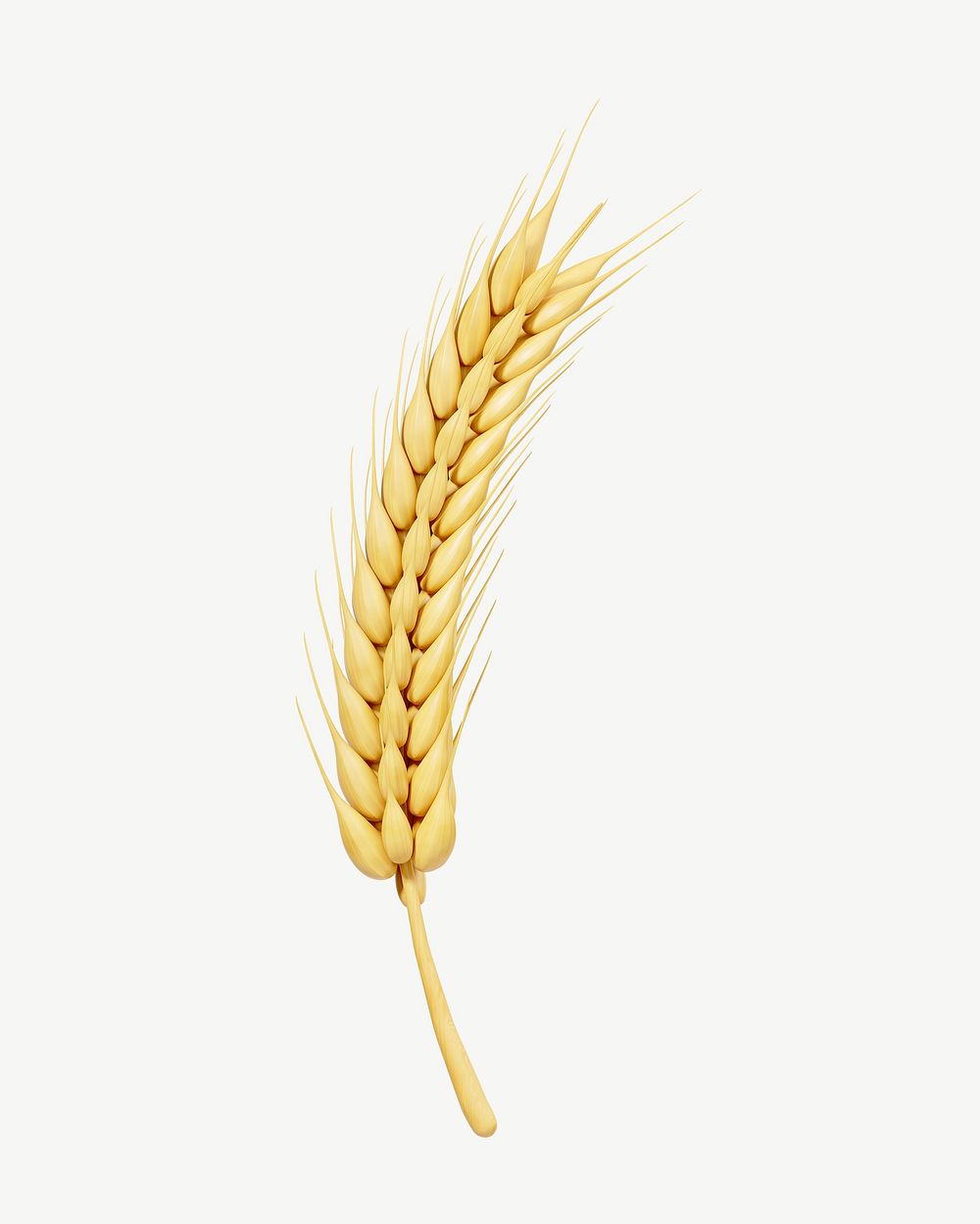 3D wheat branch, collage element psd