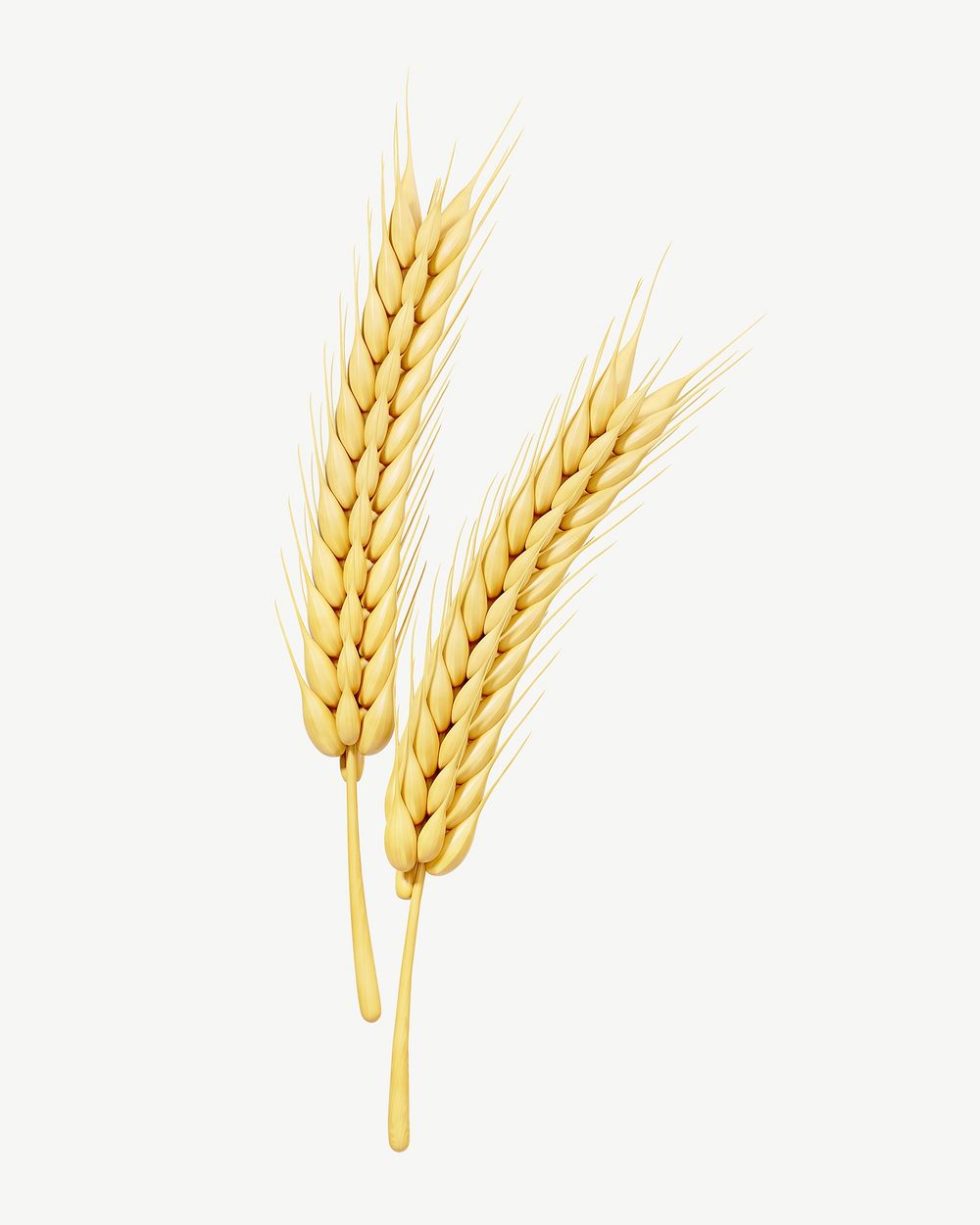 3D wheat branch, collage element psd