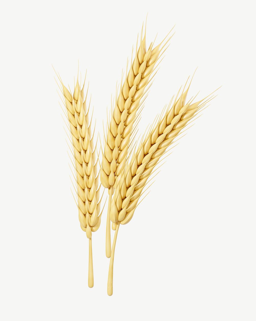3D wheat, collage element psd