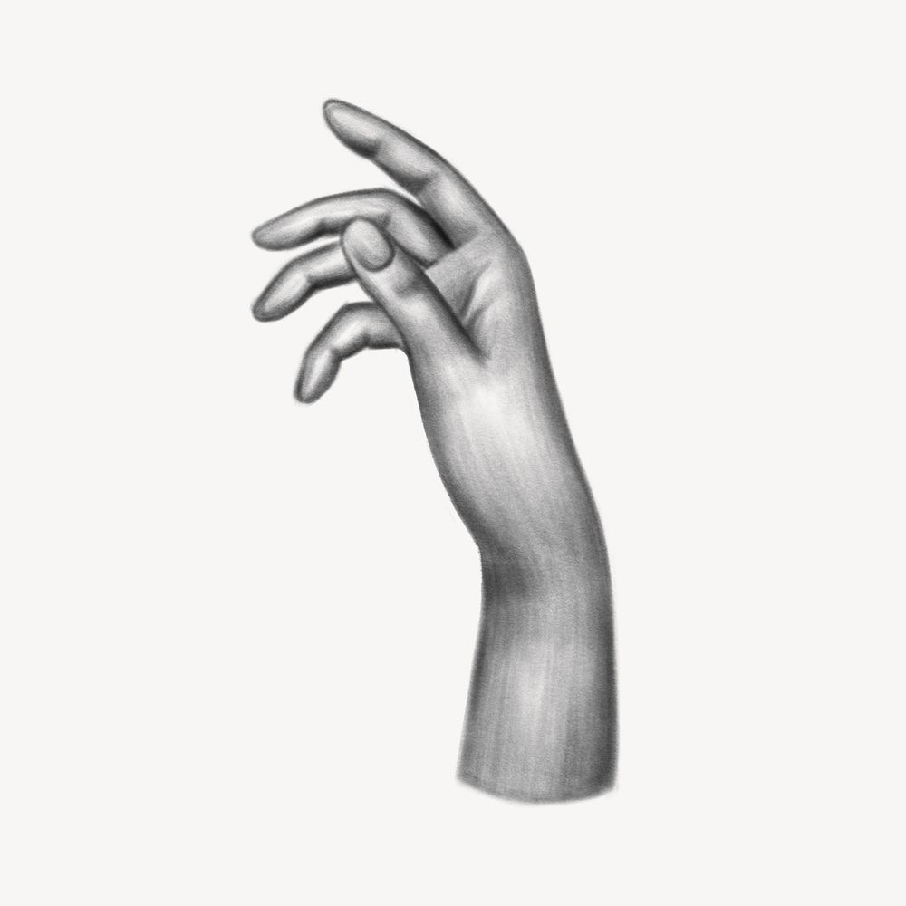 Right hand realistic illustration, black and white