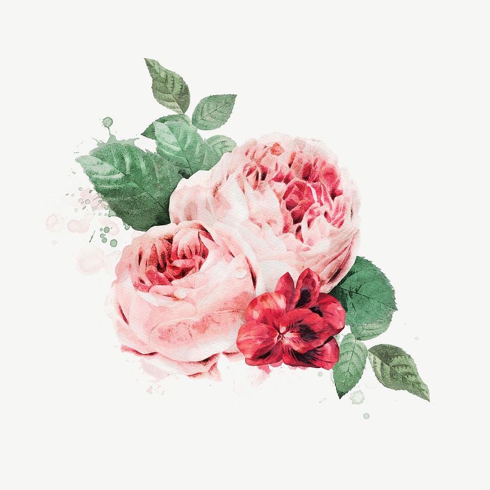 Watercolor pink garden rose collage element psd. Remixed by rawpixel.