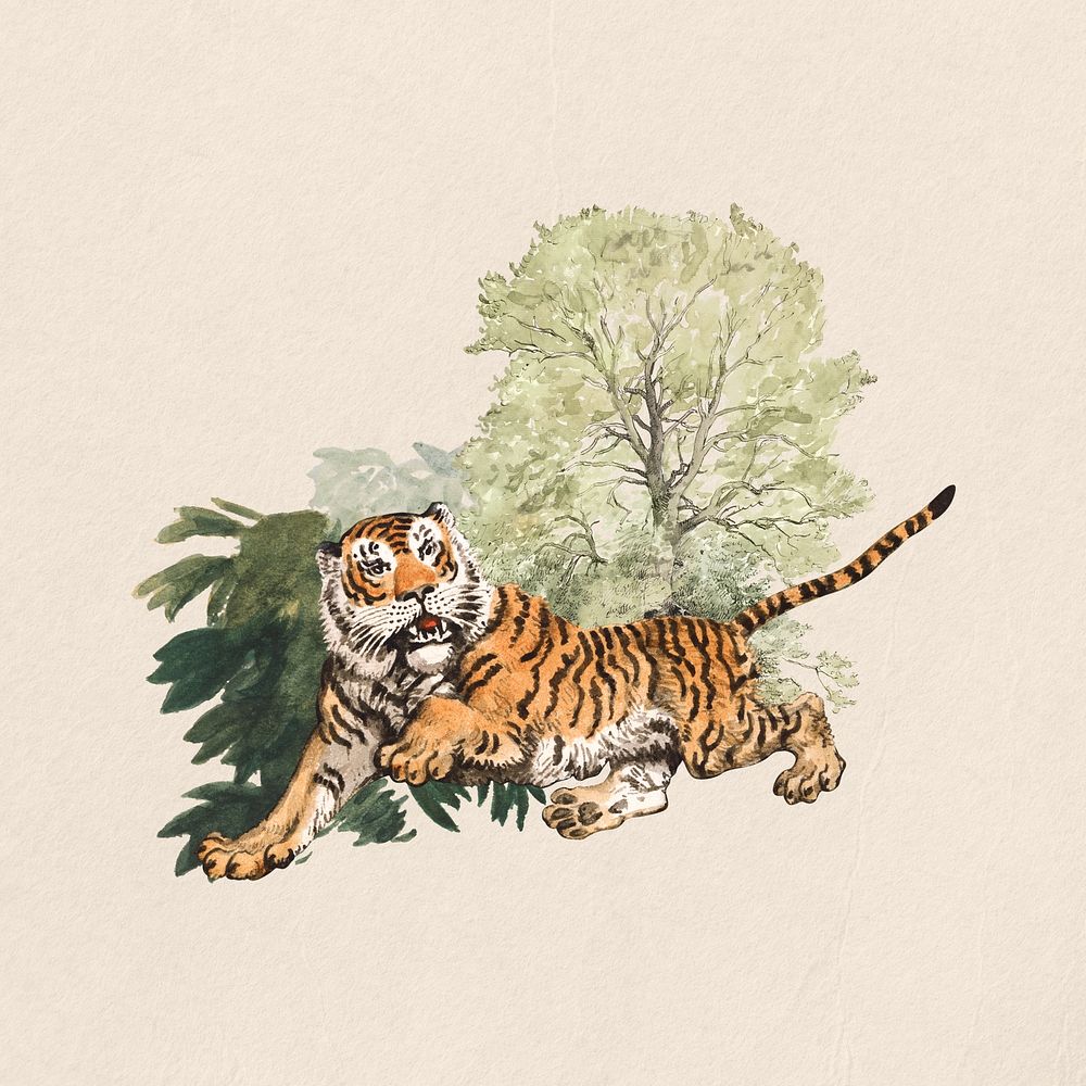 Watercolor tiger collage element. Remixed by rawpixel.