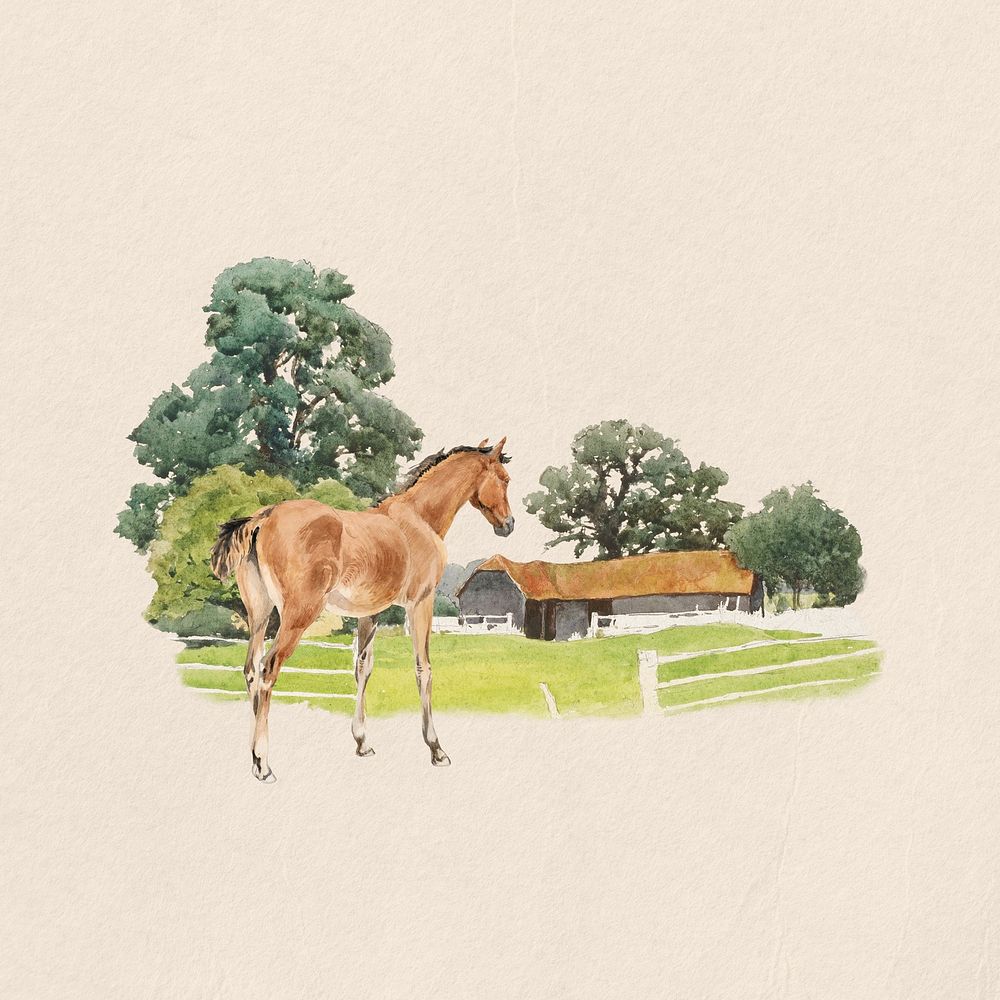 Watercolor  horse foal collage element. Remixed by rawpixel.