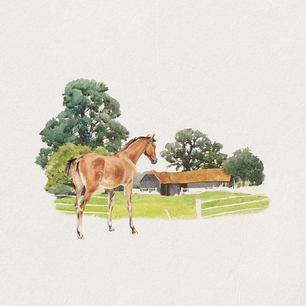 Horse watercolor collage element. Remixed by rawpixel.