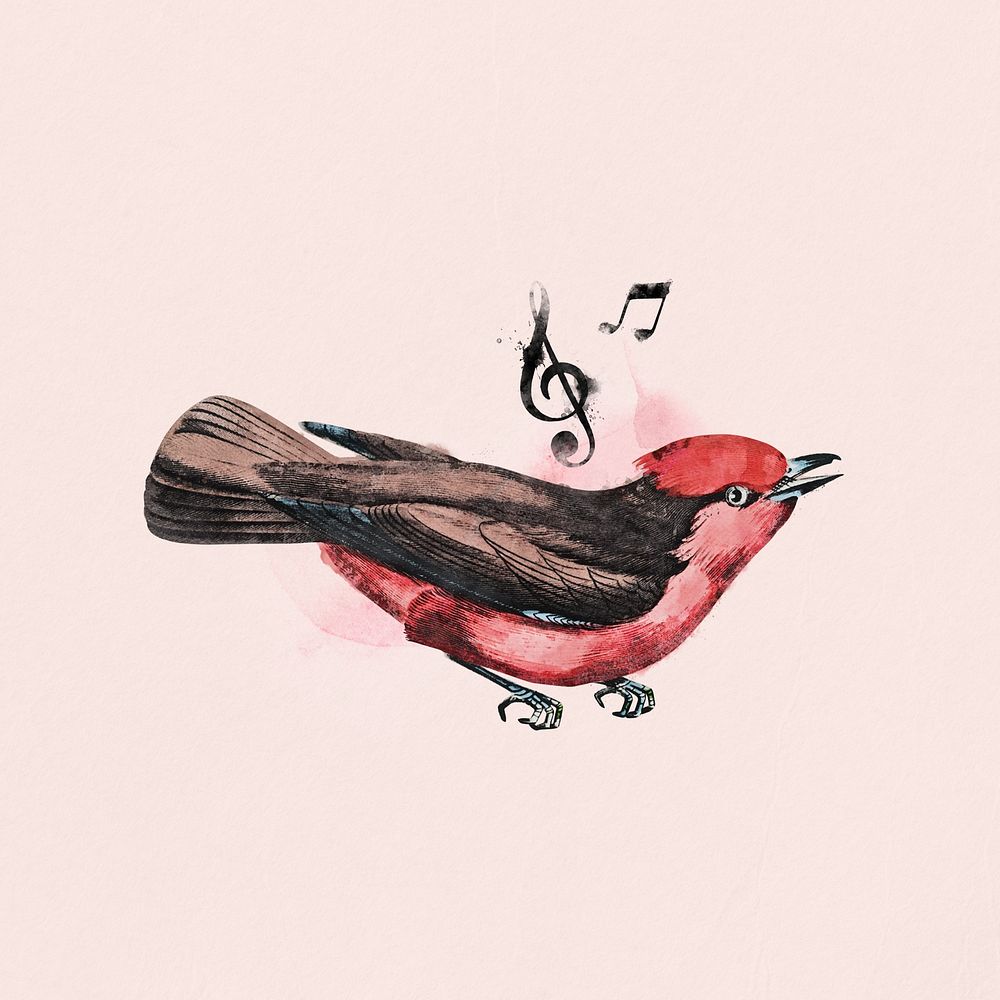 Watercolor singing bird collage element. Remixed by rawpixel.