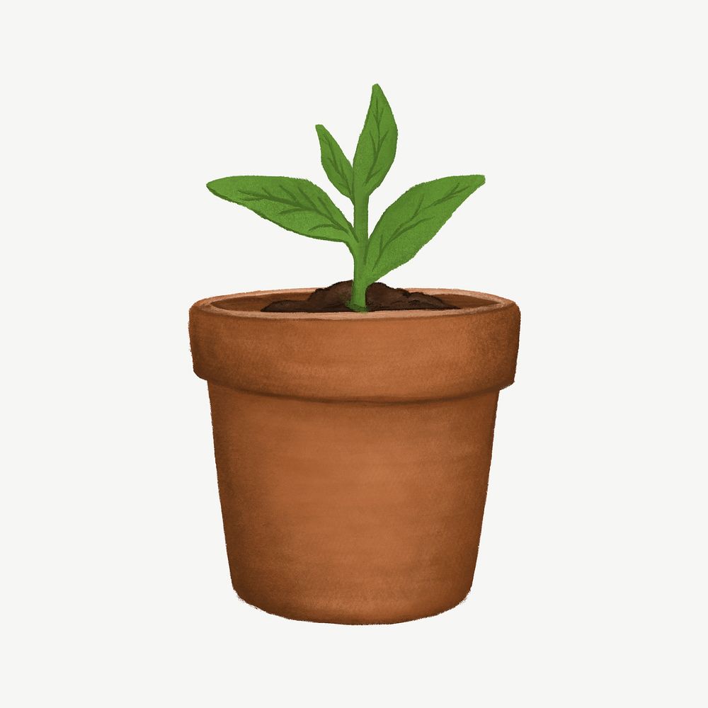 Potted houseplant, botanical illustration psd