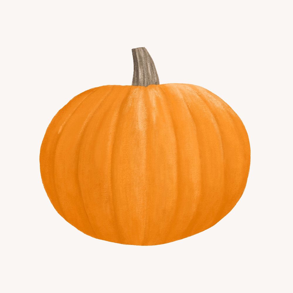 Autumn pumpkin, aesthetic illustration