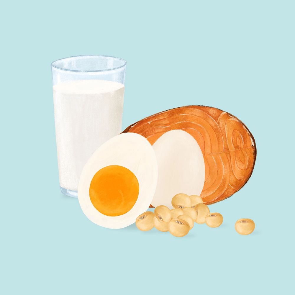 Protein nutrition aesthetic illustration background