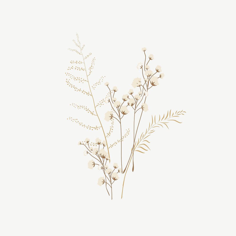 Aesthetic dried flower illustration psd