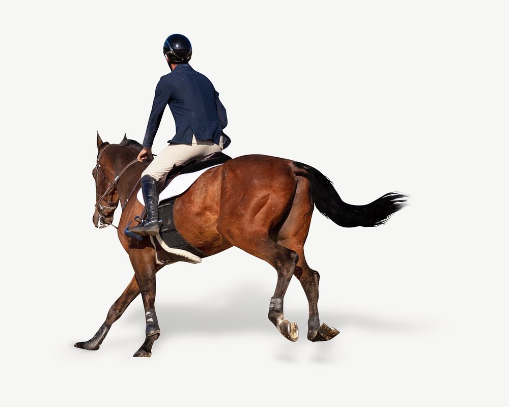 Horse riding collage element psd
