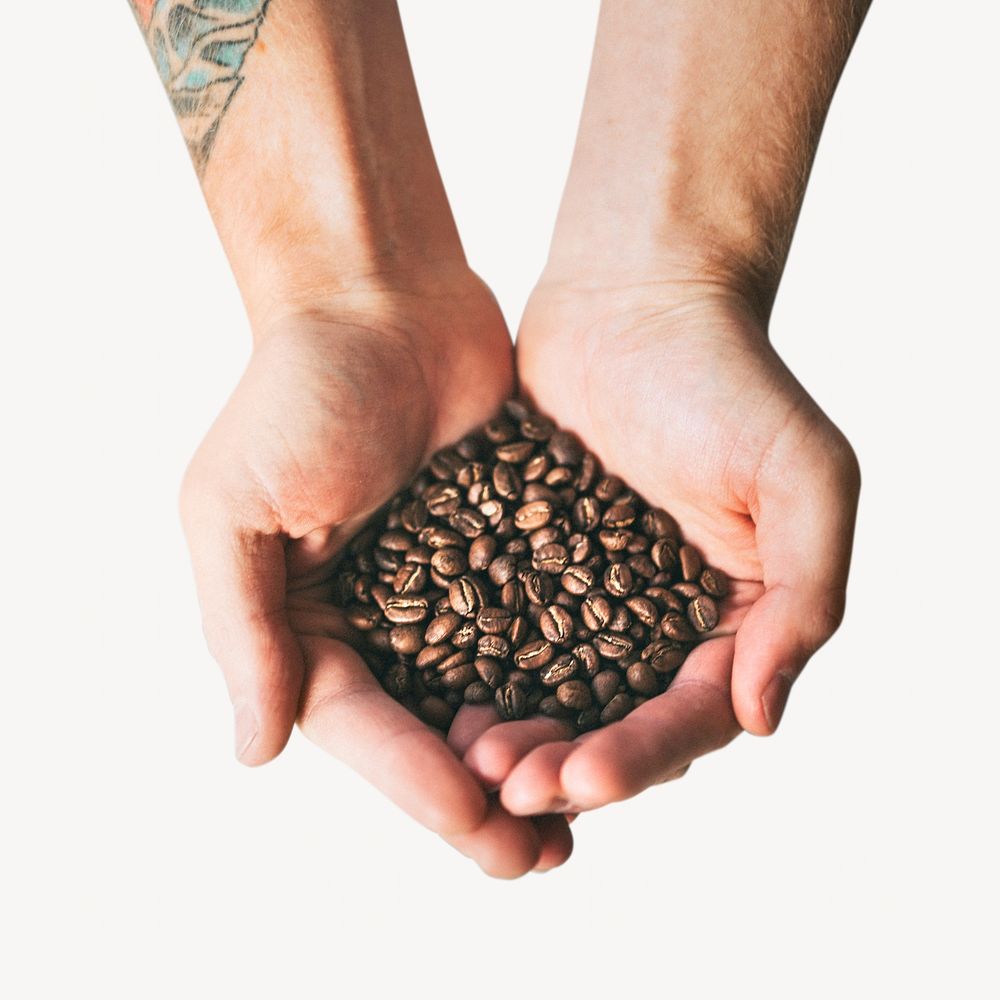 Hand holding coffee beans on white background