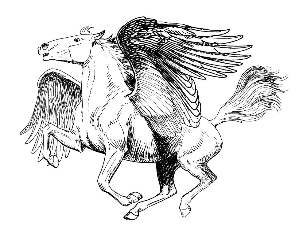 Line art drawing of Pegasus.