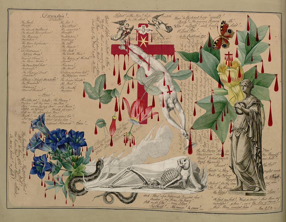 Victorian Blood Book (1854) by John Bingley Garland