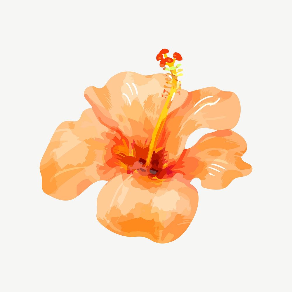 Watercolor orange hibiscus flower collage element psd