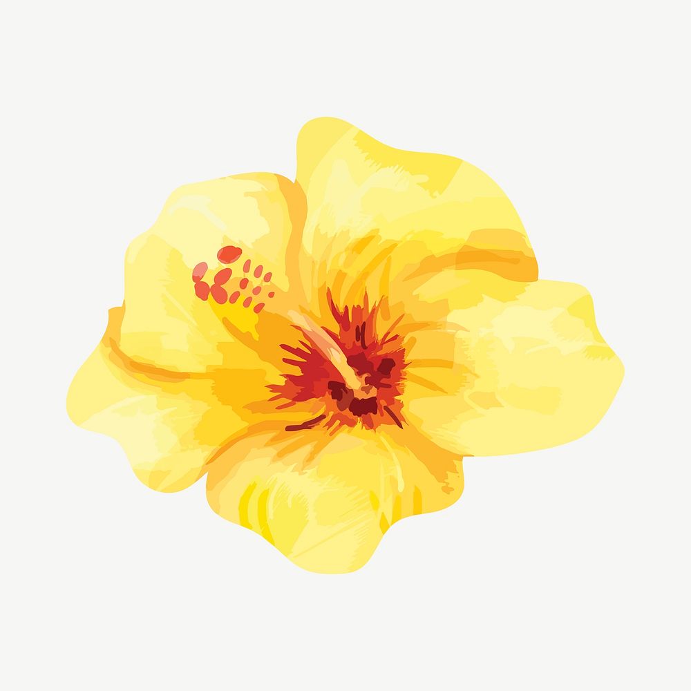 Watercolor yellow hibiscus flower collage element psd