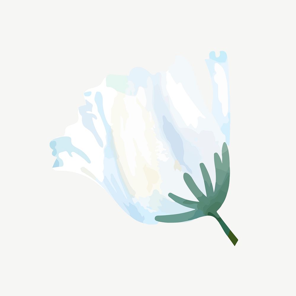 Watercolor white poppy flower collage element psd