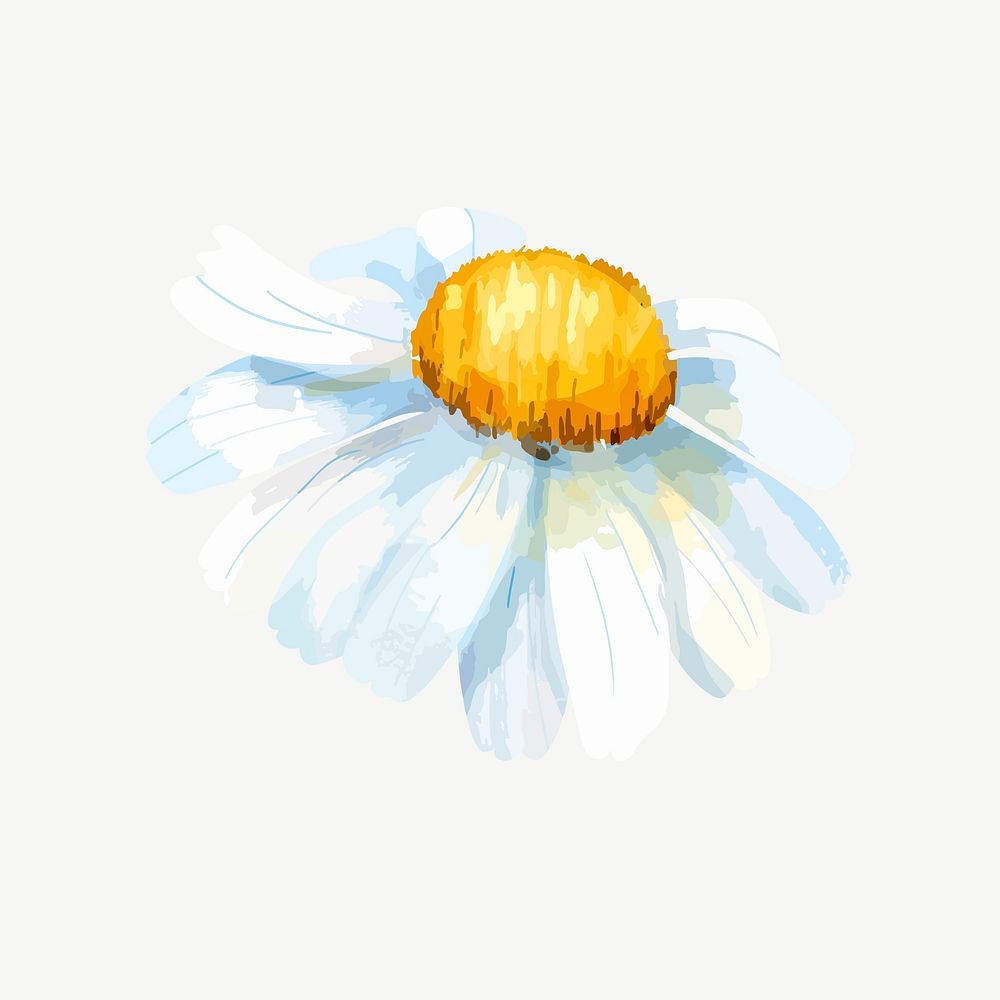 Watercolor chamomile flower collage element psd