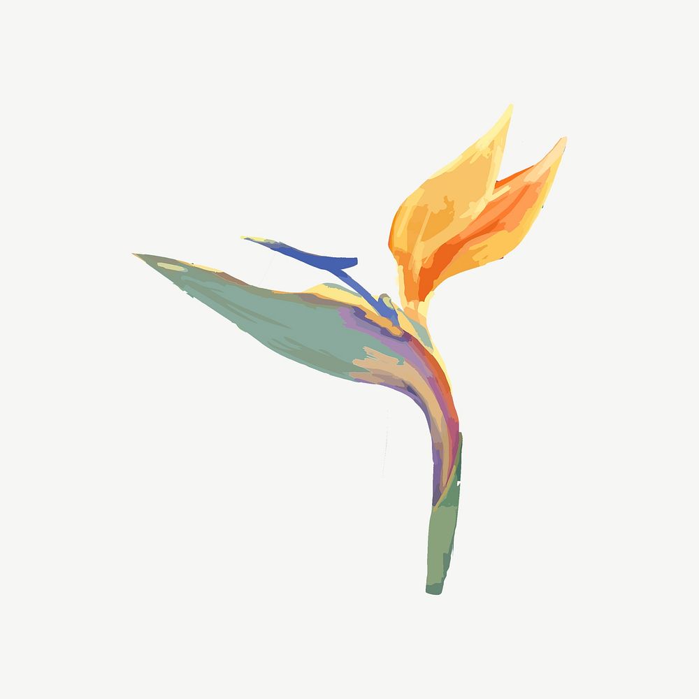 Watercolor bird of paradise flower collage element psd