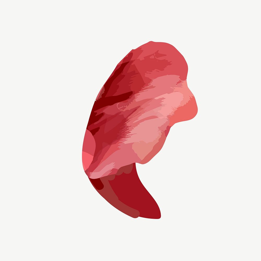 Watercolor red petal collage element psd