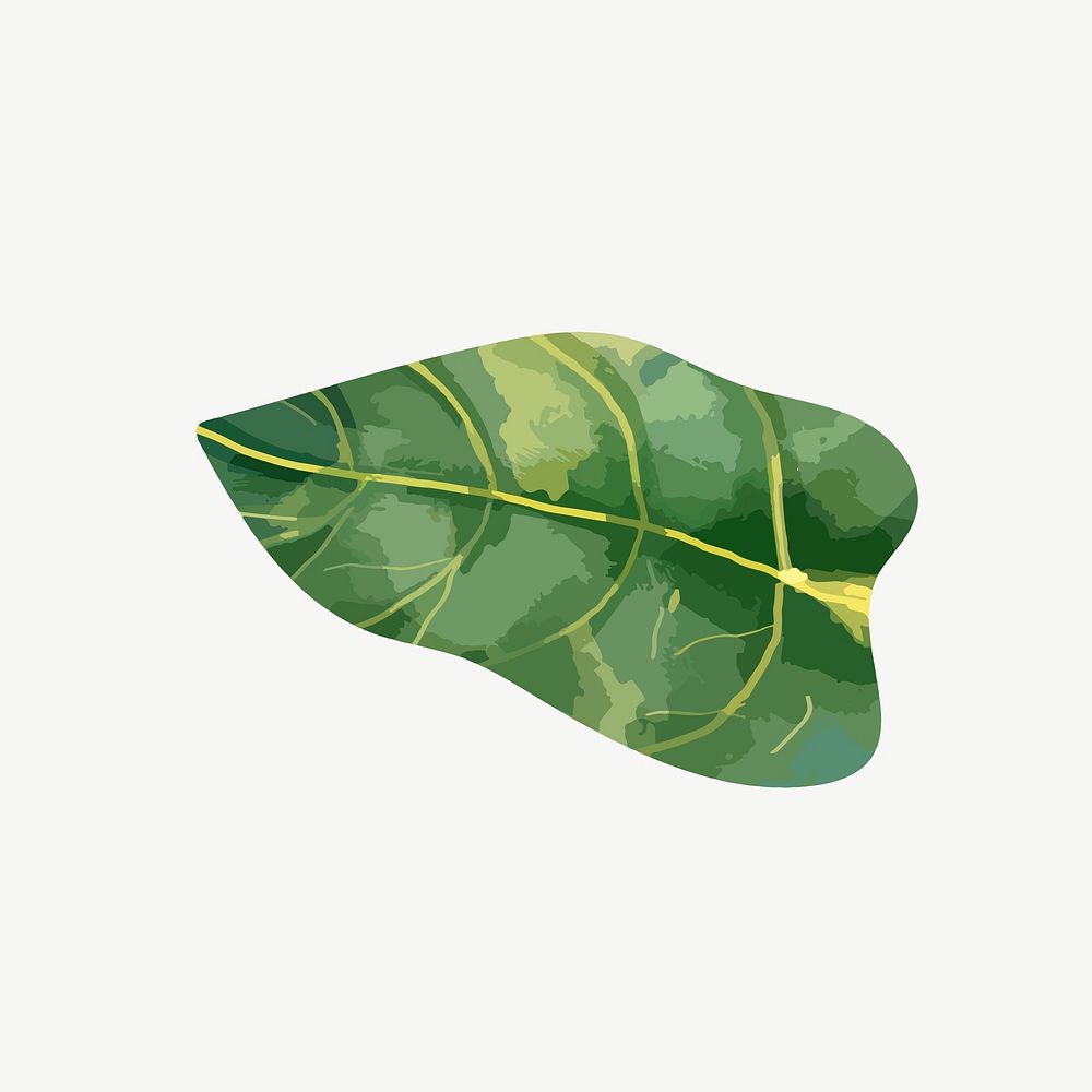 Green leaf, watercolor collage element psd