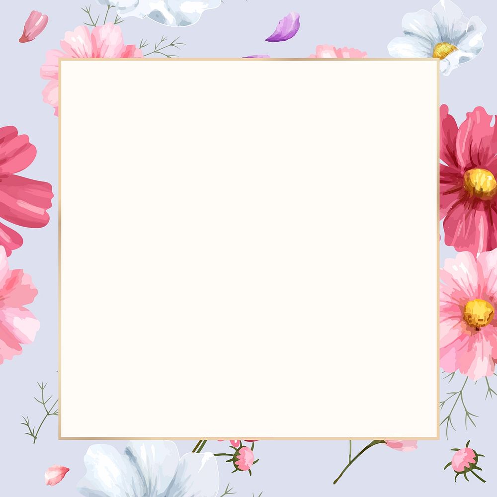 Watercolor pink cosmos frame