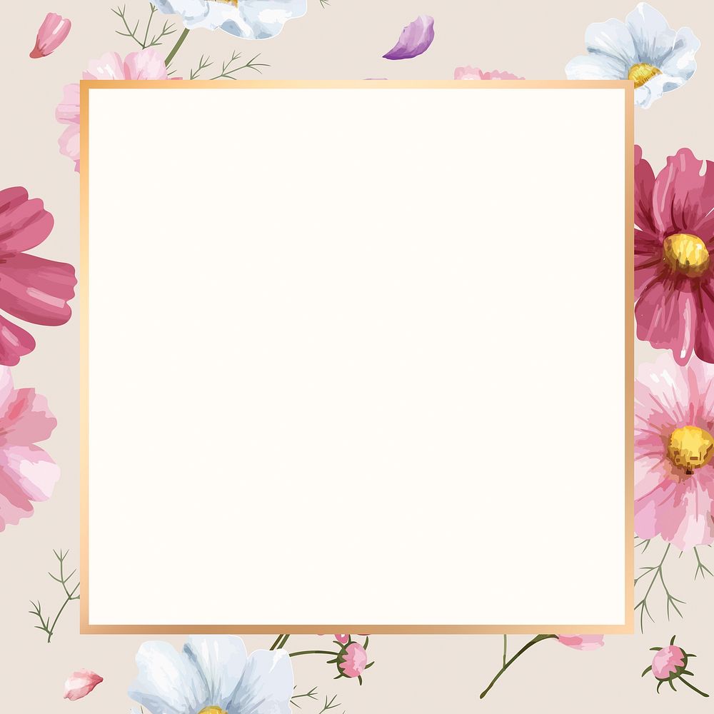 Watercolor pink cosmos square frame