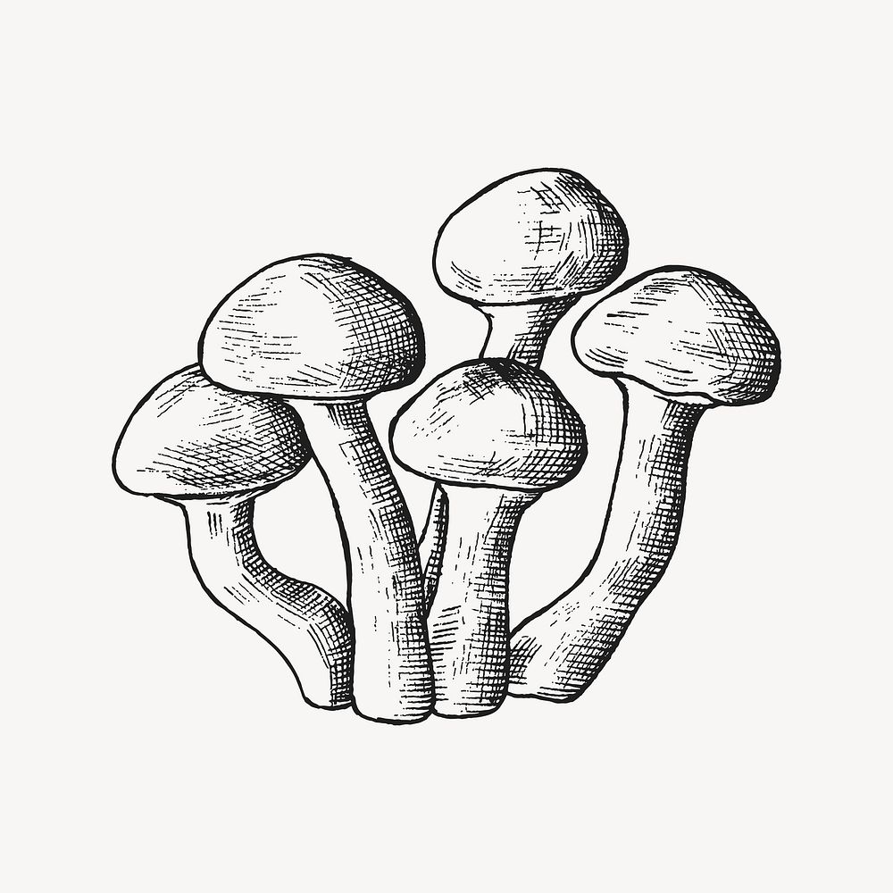Black & white mushroom cluster illustration vector