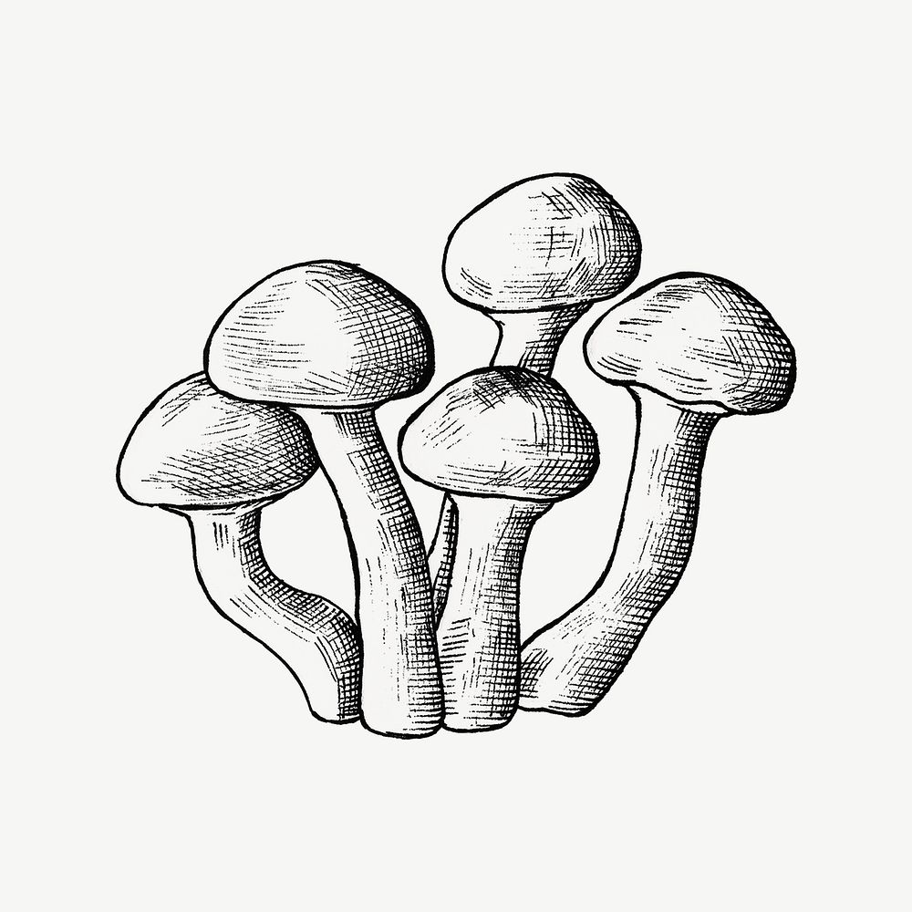 Black & white mushroom cluster collage element psd