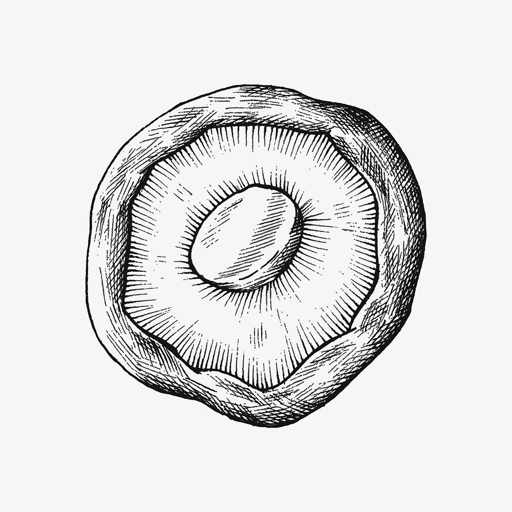 Black & white shiitake mushroom illustration collage element