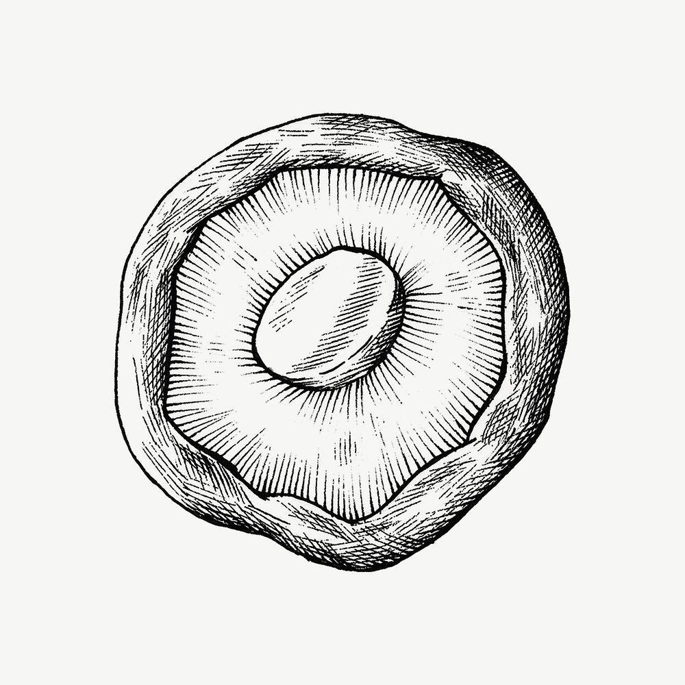 Black & white shiitake mushroom illustration collage element psd