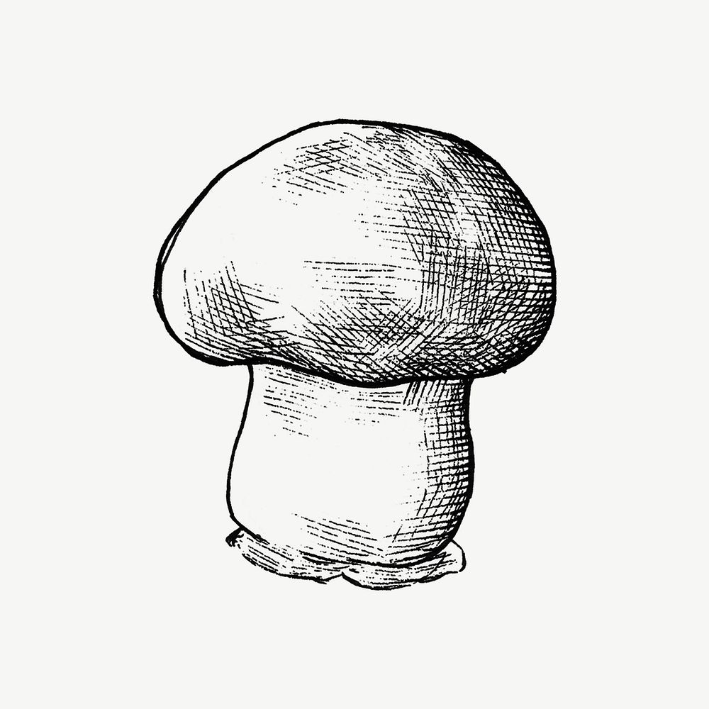 Black & white cremini mushroom illustration collage element psd