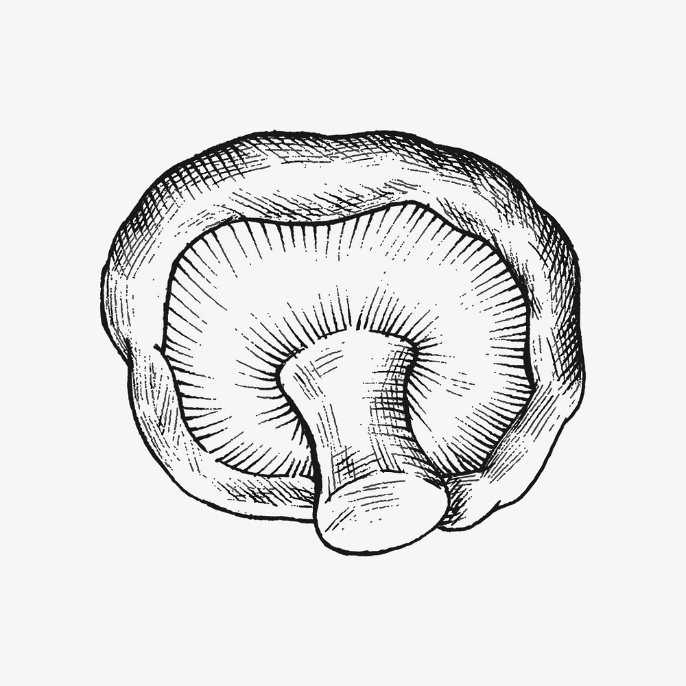 Black & white shiitake mushroom illustration vector