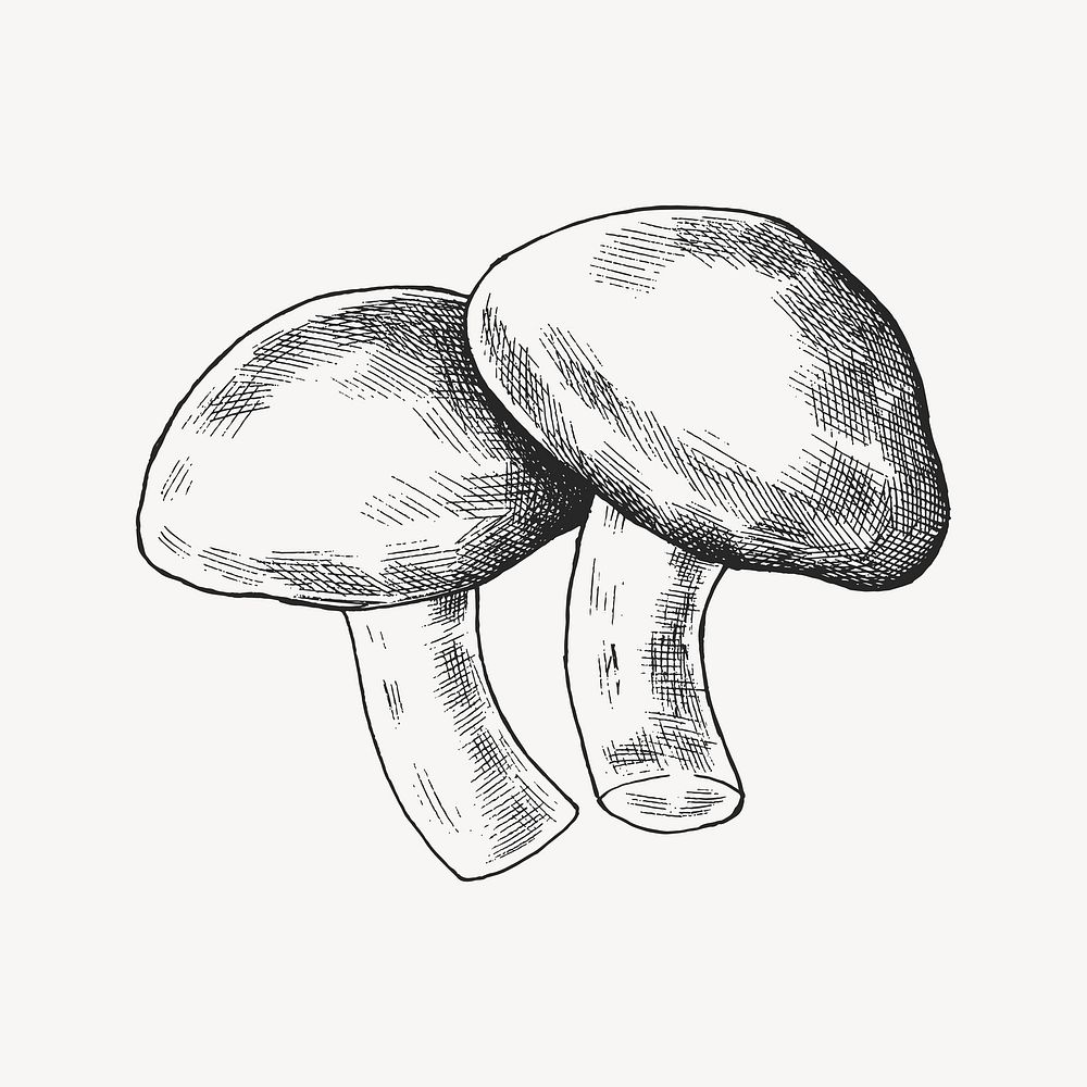 Black & white shiitake mushrooms collage element
