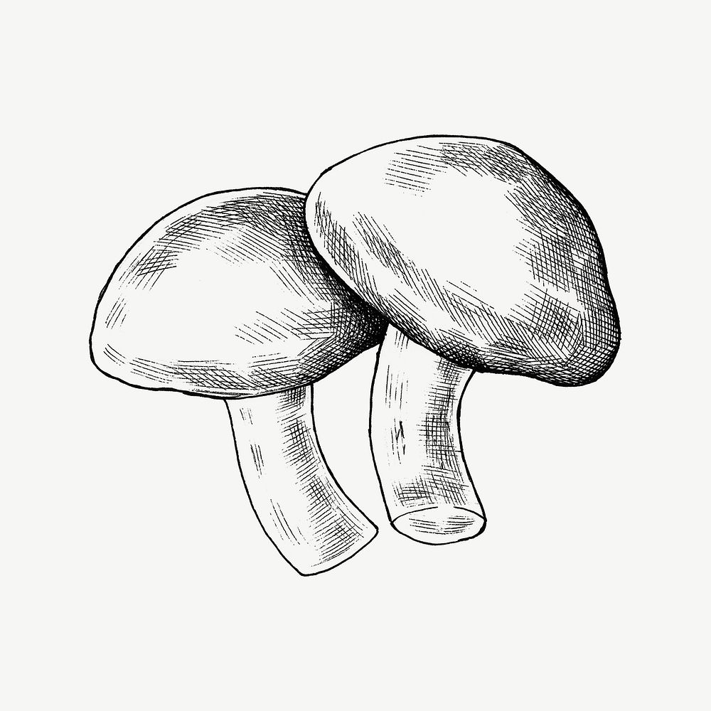 Black & white shiitake mushrooms collage element psd
