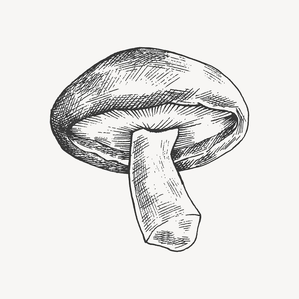 Black & white shiitake mushroom collage element