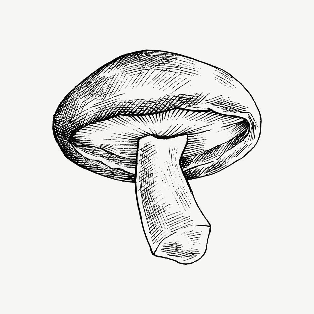 Black & white shiitake mushroom collage element psd