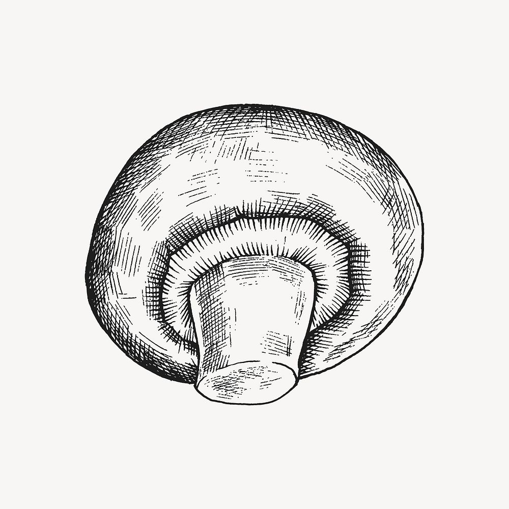 Black & white cremini mushroom illustration vector