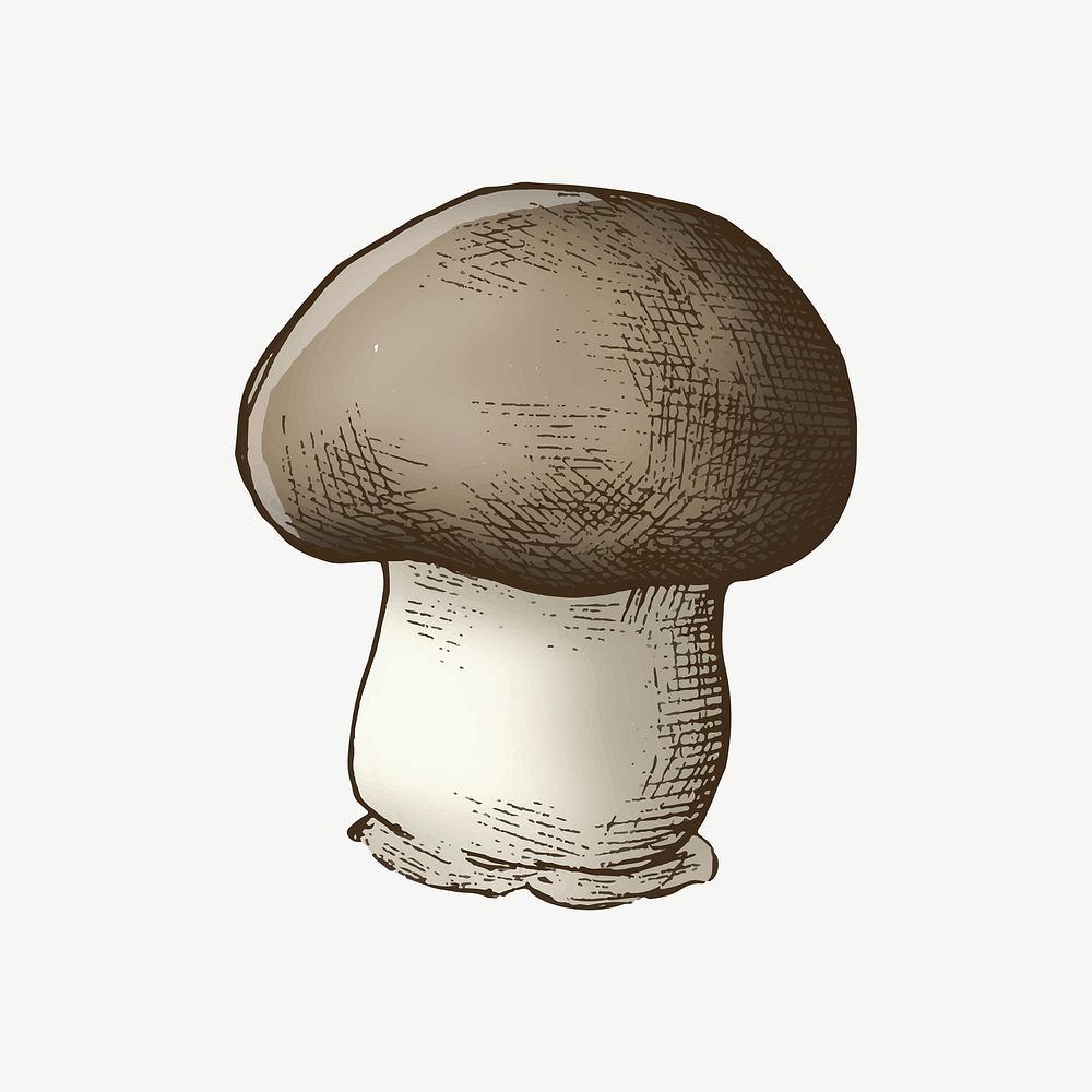 Cremini mushroom collage element psd