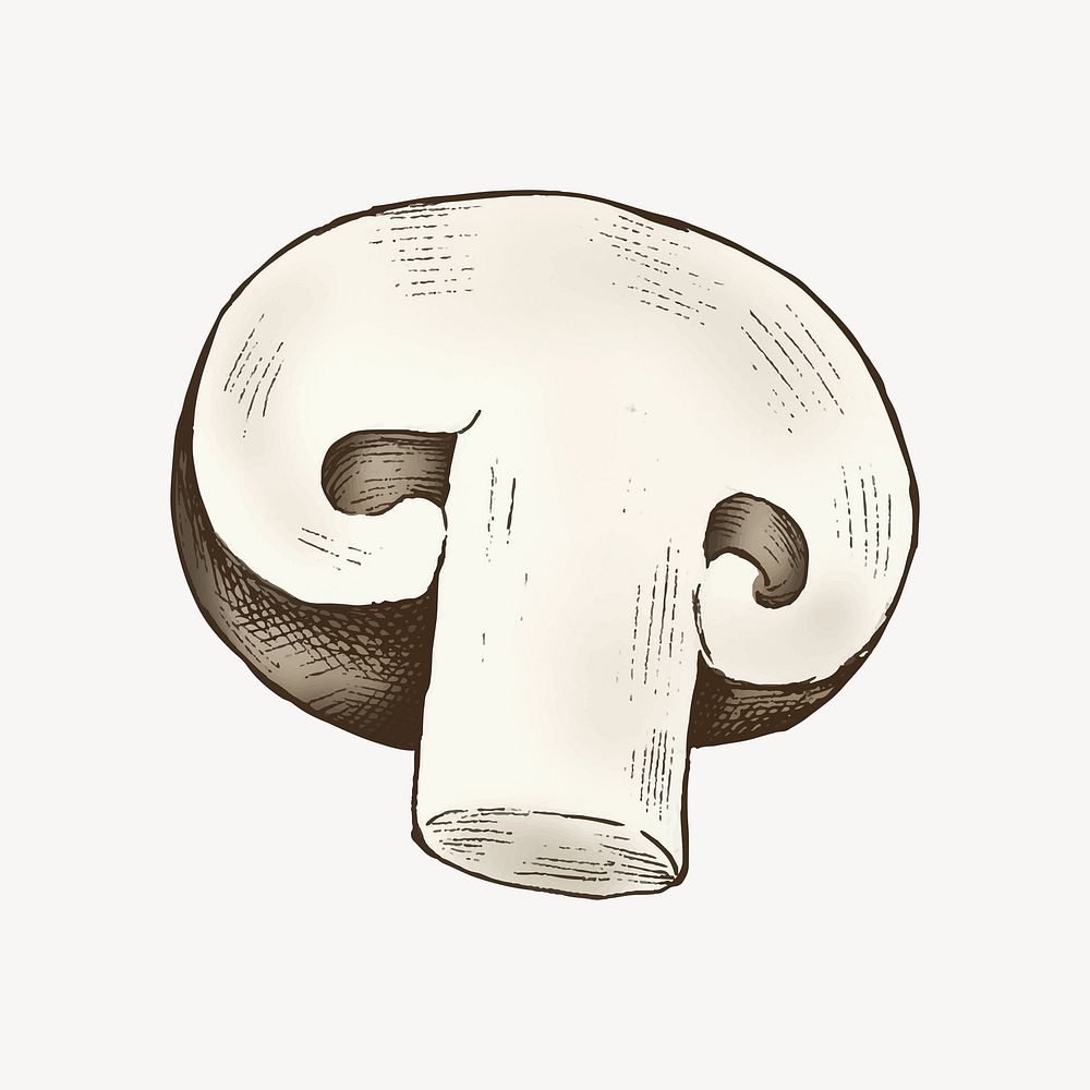 Chopped cremini mushroom illustration vector