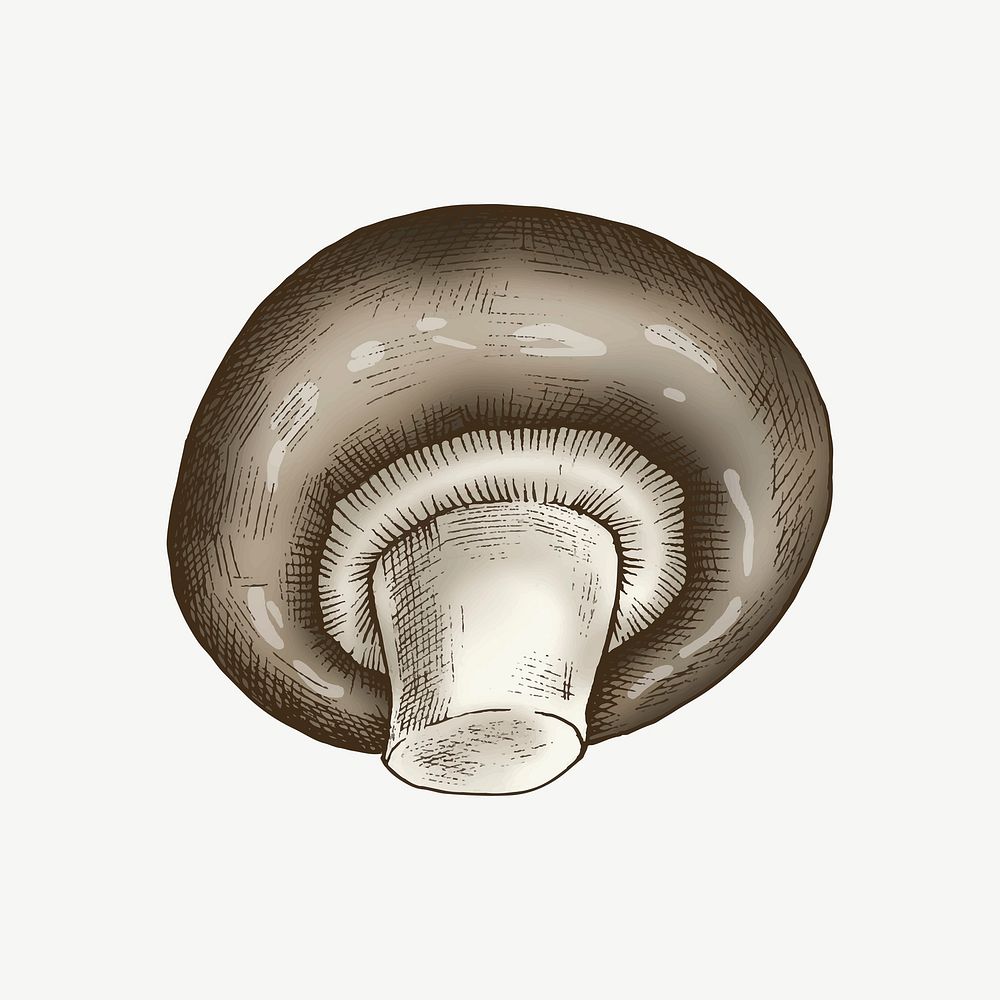 Cremini mushroom collage element psd