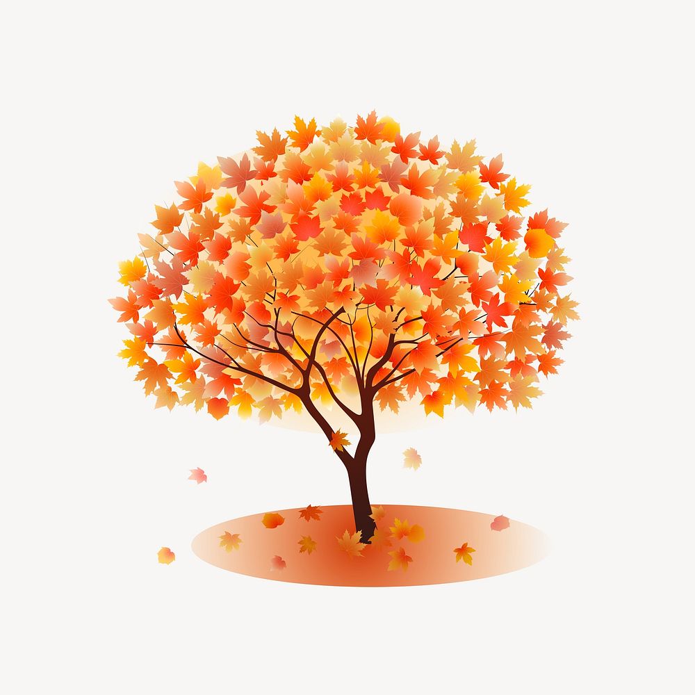 Autumn tree   illustration. Free public domain CC0 image.