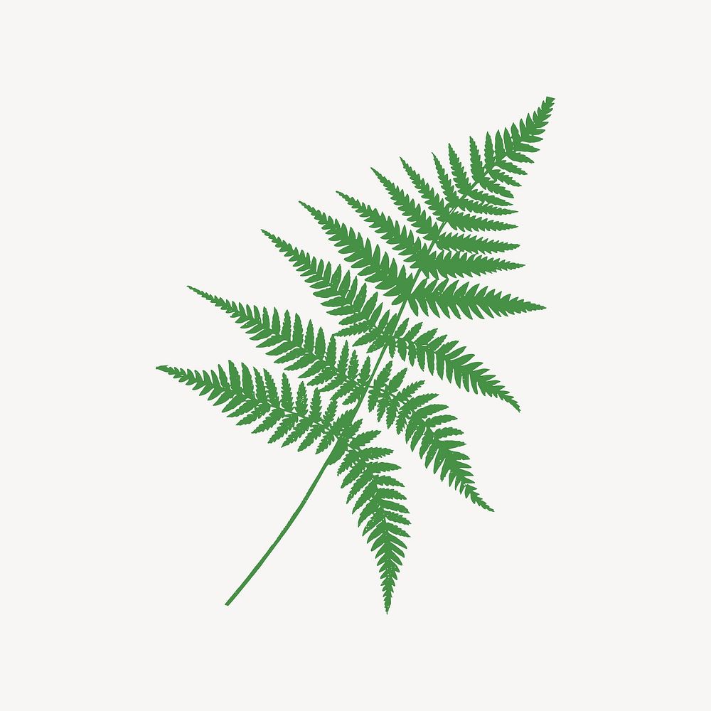 Fronds, fern leaves collage element vector. Free public domain CC0 image.